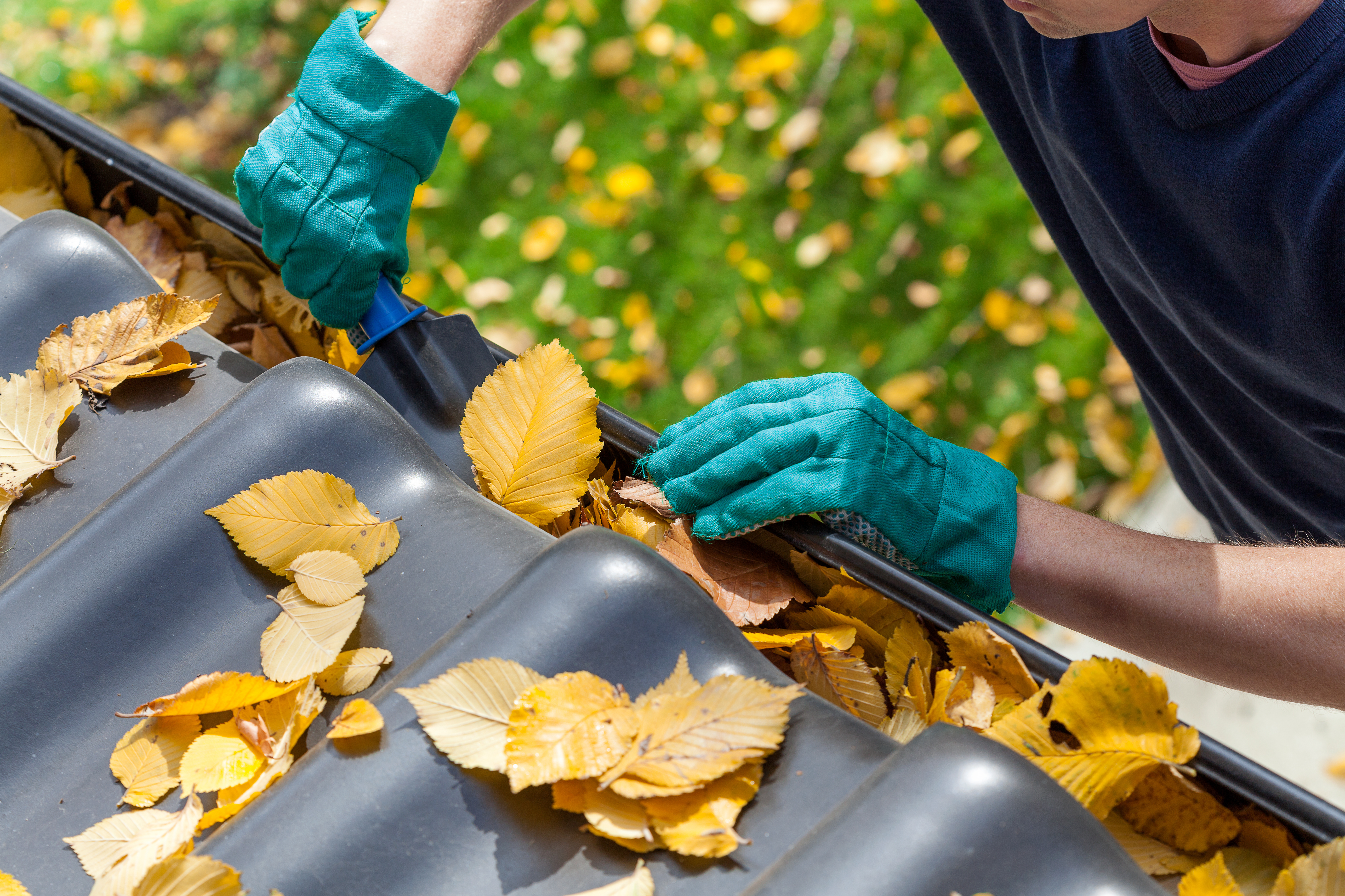 Professional removing leaves from a rain gutter